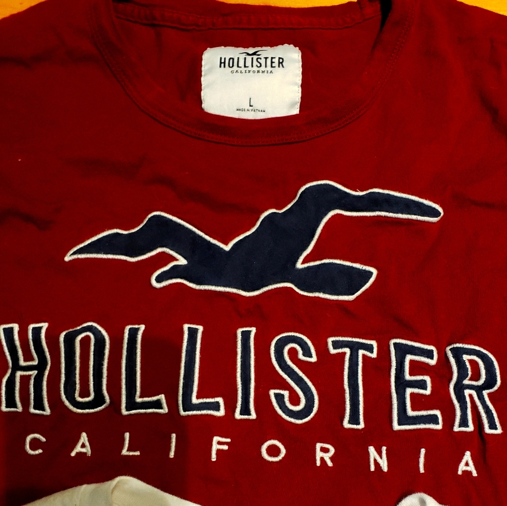 Hollister logo tee